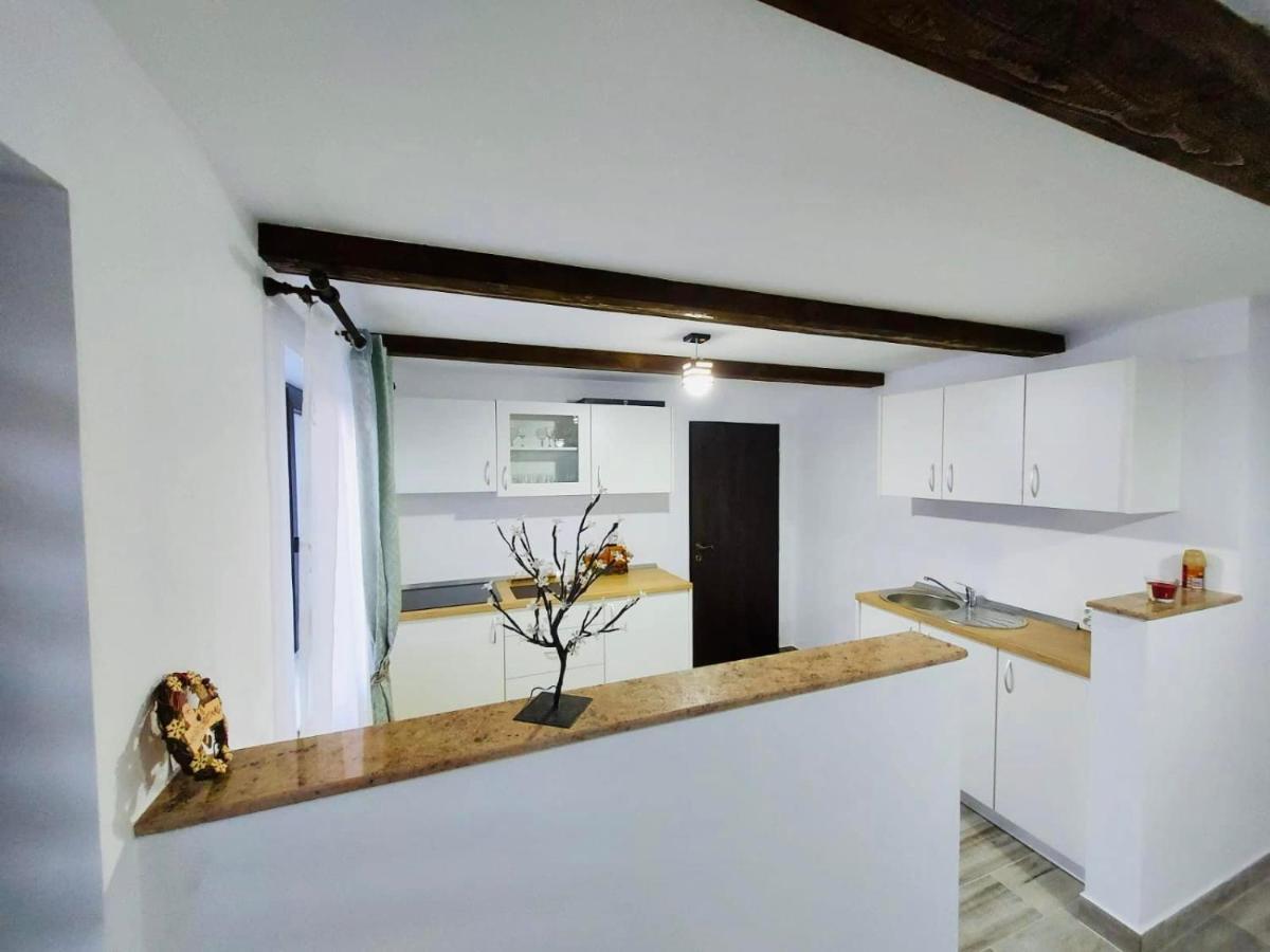 Apartmán Casa Radu Cîrlibaba Exteriér fotografie